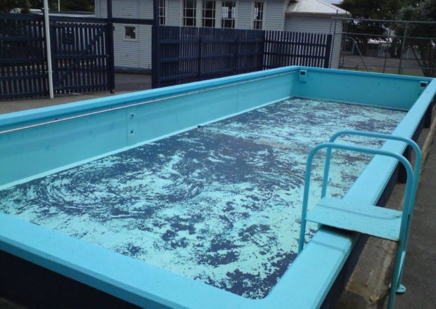 Birkdale Primary School Pool Before