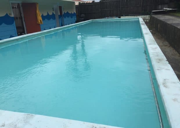 Green to clean pool after