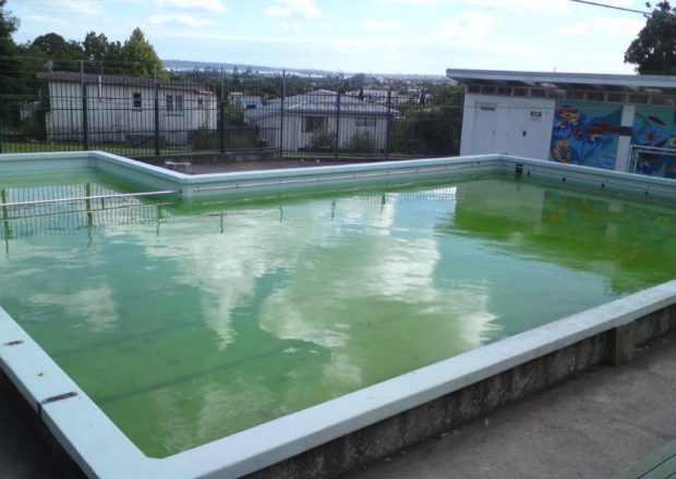 Glen Eden School Pool Before