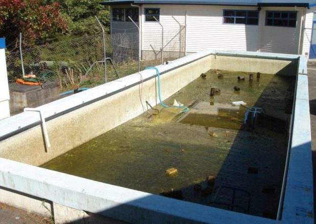 Kaurilands school pool Before clean and paint