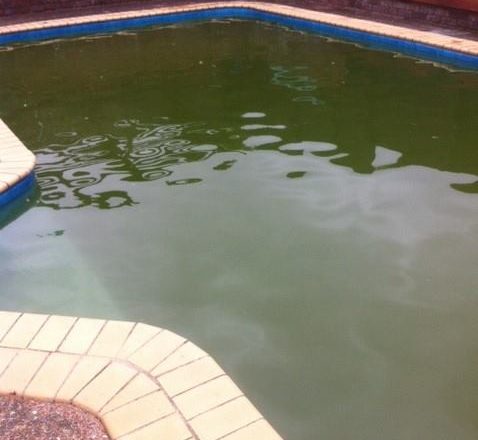 Green pool before cleaning