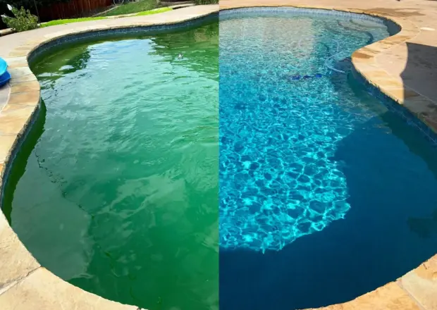 Green Pool Before & After Green Pool Before & After