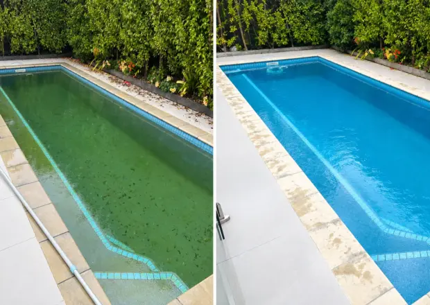 Green Pool Transformation Green Pool Transformation