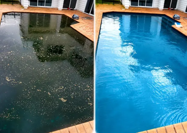 Pool Green Transformation before & after photo Pool Green Transformation before & after photo